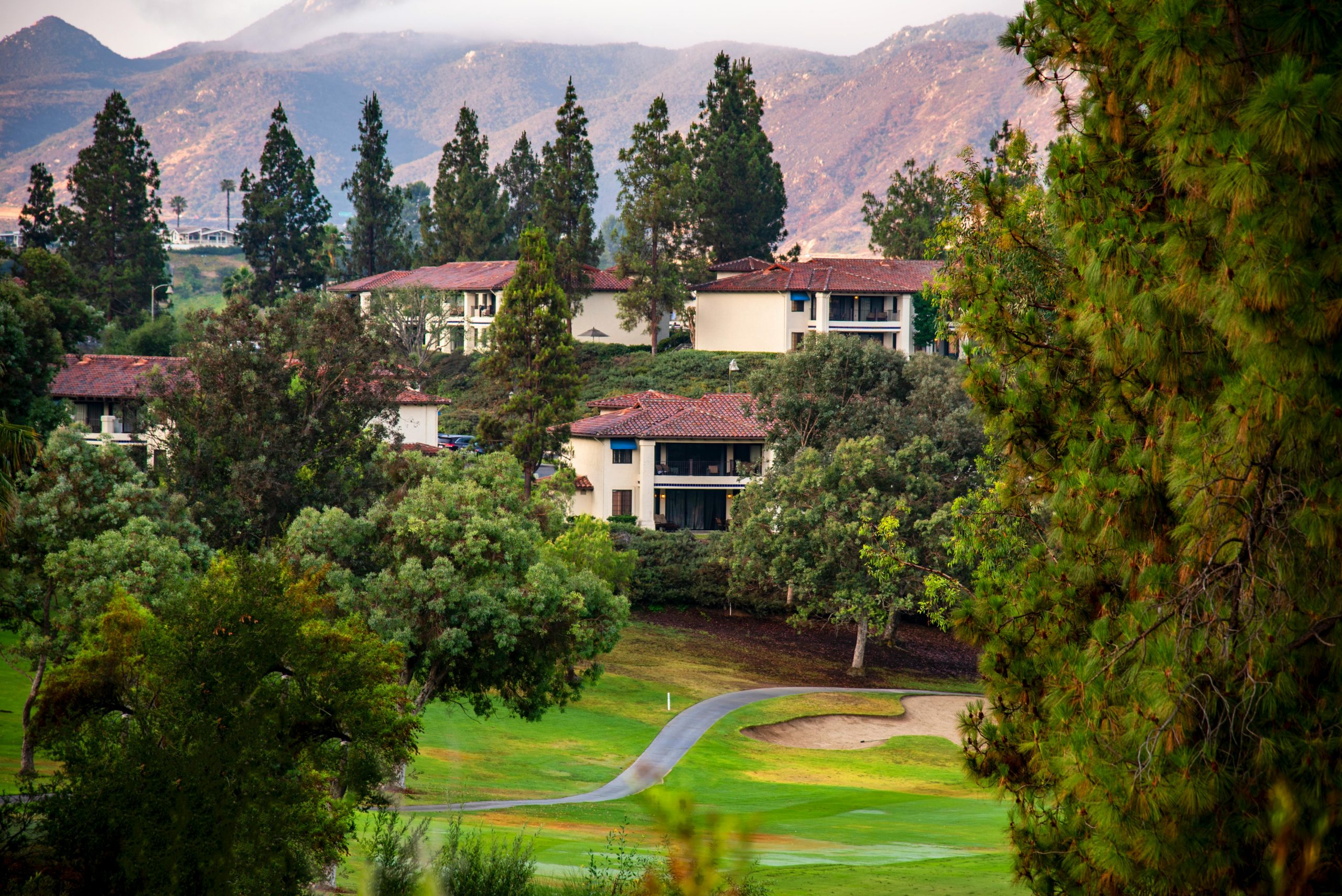 pexels-johnnoibn-12010425